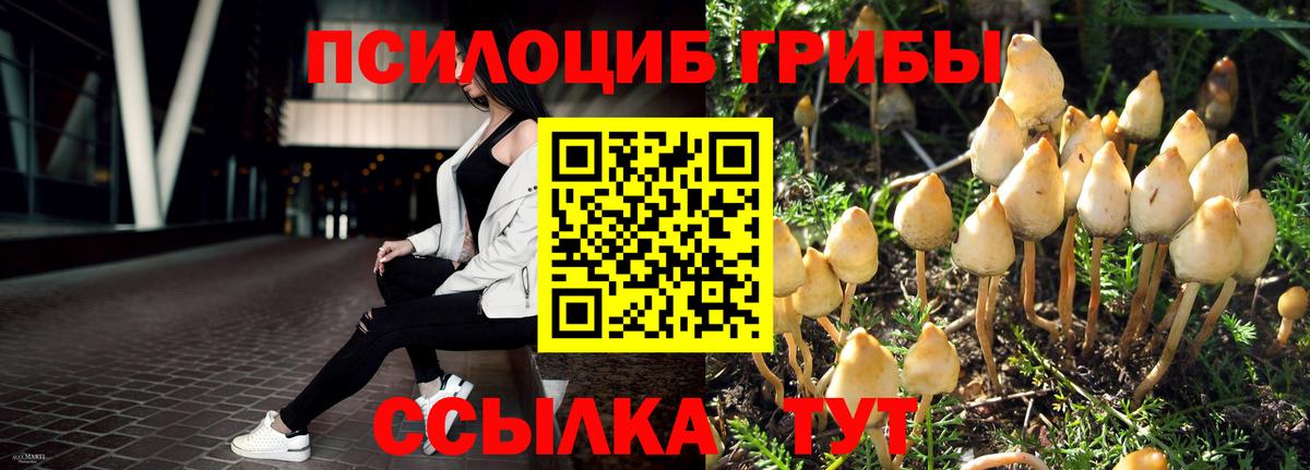 Галлюциногенные грибы MAGIC MUSHROOMS  Псилоцибиновые грибы Psilocybe  Кувандык  Вход с VPN 